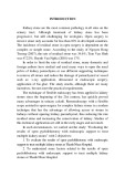 Ph.D. thesis summary: Evaluating the results of open pyelolithotomy with endoscopic support to treat multiple kidney stones
