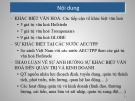 Bài giảng về Sự khác biệt văn hóa chi tiết, chuẩn nhất