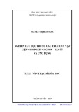 Luận văn Thạc sĩ: Nghiên cứu đặc trưng cấu trúc vật liệu compozit cacbon-hắc ín và ứng dụng