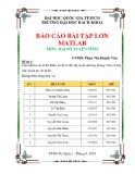 Báo cáo bài tập lớn Matlab môn Đại số tuyến tính: Kinh nghiệm và hướng dẫn