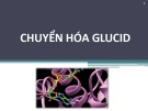 Bài giảng Chuyển hóa glucid - Võ Hồng Trung