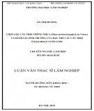 Luận văn Thạc sĩ Lâm nghiệp: Chọn lọc cây trội Thông nhựa (Pinus merkusii jungh & de Vriese) và đánh giá sinh trưởng của hậu thế các cây trội ở giai đoạn vườn ươm