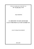 Các hình thức tổ chức hành nghề luật sư theo pháp luật Việt Nam hiện nay: Luận văn Thạc sĩ Luật kinh tế