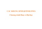 Bài giảng Kháng sinh Quinolones