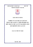 Luận án Tiến sĩ Y học: Nghiên cứu giá trị cận lâm sàng trong tiên lượng và theo dõi hiệu quả điều trị ung thư gan nút mạch hóa chất kết hợp đốt sóng cao tần