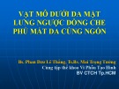 Bài giảng Vạt mô dưới da mặt lưng ngược dòng che phủ mất da cùng ngón - Bs. Phan Dzư Lê Thắng