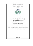 Nghiên cứu đặc điểm thực vật và thành phần hóa học cây Thài lài trắng (Commelina diffusa Burm.F.): Khóa luận tốt nghiệp