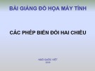 Bài giảng Đồ họa máy tính: Các phép biến đổi hai chiều - Ngô Quốc Việt