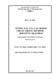 Tương tác Boson chuẩn trong mô hình đối xứng trái phải: Luận văn Thạc sĩ khoa học vật chất