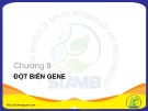 Bài giảng Sinh học phân tử Chương 9 Bùi Hồng Quân: Tổng hợp đầy đủ