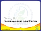 Bài giảng Sinh học phân tử chương 10 Bùi Hồng Quân: Tổng quan và chi tiết