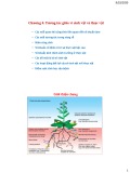 Bài giảng Sinh thái vi sinh vật: Chương 4 - TS. Nguyễn Xuân Cảnh