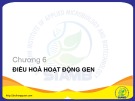 Bài giảng Sinh học phân tử chương 6 Bùi Hồng Quân (chuẩn nhất)