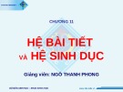 Bài giảng Sinh học đại cương A2: Chương 11 - Ngô Thanh Phong