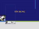 Bài giảng Nguyên lý tài chính ngân hàng: Tín dụng - ThS. Trương Minh Tuấn