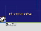 Tài chính công trong Nguyên lý tài chính ngân hàng: Bài giảng của ThS. Trương Minh Tuấn