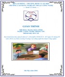 Giáo trình Mạng máy tính (Nghề Công nghệ thông tin Sơ cấp) Phần 1 - Trường CĐ nghề Kỹ thuật Công nghệ