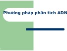Phương pháp phân tích ADN trong bài giảng Sinh học phân tử
