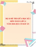 Bộ 24 đề thi giữa học kì 2 môn Toán lớp 11 năm 2020-2021 có đáp án [mới nhất]