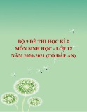 Bộ 9 đề thi học kì 2 môn Sinh học lớp 12 năm 2020-2021 (Có đáp án) mới nhất