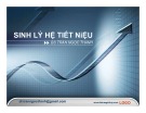 Bài giảng Sinh lý hệ tiết niệu: Tổng hợp từ BS. Trần Ngọc Thanh