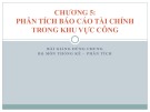 Phân tích báo cáo tài chính khu vực công: Bài giảng Kinh tế học khu vực công - Chương 5
