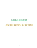 Bài giảng chuyên đề: Sản khoa - Các tổn thương cổ tử cung