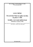 Giáo trình Tiện trụ ngắn, trụ bậc, trụ dài L ≈ 10d (Nghề: Cắt gọt kim loại - Cao đẳng nghề): Phần 1 - Tổng cục Dạy nghề