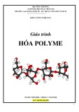 Giáo trình Hóa Polyme: Trường CĐ Kinh tế - Kỹ thuật Vinatex TP. HCM