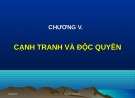 Bài giảng Cạnh tranh và độc quyền: Tổng hợp kiến thức từ ThS. Nguyễn Sỹ Minh