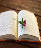 Bài giảng Lý thuyết ô tô [mới nhất]
