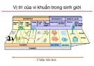 Bài giảng Vi sinh vật: Chương 2 - Phạm Tuấn Anh