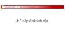 Bài giảng Vi sinh vật Chương 6 Phạm Tuấn Anh: Tổng hợp kiến thức