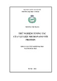 Thử nghiệm tương tác vật liệu micro nano với protein: Khóa luận tốt nghiệp