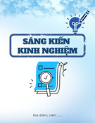 Giải pháp nâng cao chất lượng thanh tra hành chính hiệu quả tại thị xã Đức Phổ: Sáng kiến kinh nghiệm