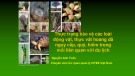 Thực trạng bảo vệ động vật, thực vật hoang dã nguy cấp, quý hiếm: Bài giảng và liên quan đến du lịch