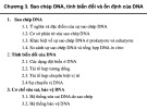 Sao chép DNA: Bài giảng Di truyền học và sinh học phân tử chương 3 về tính biến đổi, ổn định của DNA