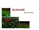 Alkaloid: Bài giảng Kỹ thuật thu nhận hợp chất có hoạt tính sinh học từ thực vật - Chương 4