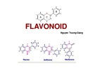 Bài giảng kỹ thuật thu nhận hợp chất: Flavonoid từ thực vật - Chương 3