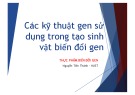 Xu hướng phát triển thực phẩm: Bài giảng về các kỹ thuật gen sử dụng trong tạo sinh vật biến đổi gen