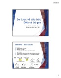 Xu hướng phát triển thực phẩm: Bài giảng sơ lược cấu trúc DNA và bộ gen