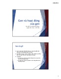 Xu hướng phát triển thực phẩm: Bài giảng về gen và hoạt động của gen