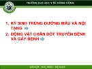 Bài giảng Ký sinh trùng y học: Chương 3 - Tài liệu từ Trường ĐH Y tế Công cộng