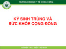Bài giảng Ký sinh trùng y học: Chương 6 từ Trường ĐH Y tế Công cộng