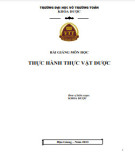 Bài giảng Thực hành Thực vật dược Trường ĐH Võ Trường Toản [Mới nhất]