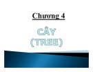 Bài giảng Lý thuyết đồ thị Chương 4: ThS. Trần Quốc Việt (Chi Tiết)