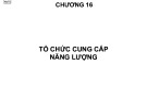 Bài giảng Tổ chức sản xuất cơ khí: Chương 16 - TS. Nguyễn Văn Tình