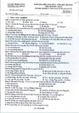 Đề thi giữa học kì 2 môn Lịch sử lớp 10 năm 2023-2024 - Trường THPT Dĩ An, Bình Dương