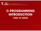 Bài giảng C Programming introduction: Tuần 10 - Mảng