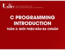 Bài giảng C Programming introduction: Tuần 3 - Giới thiệu đầu ra chuẩn